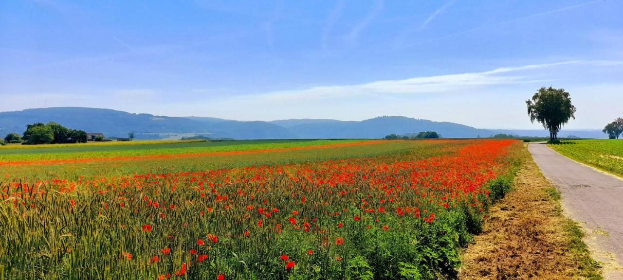 Ferienwohnung Aroma Moselblick بورجين المظهر الخارجي الصورة